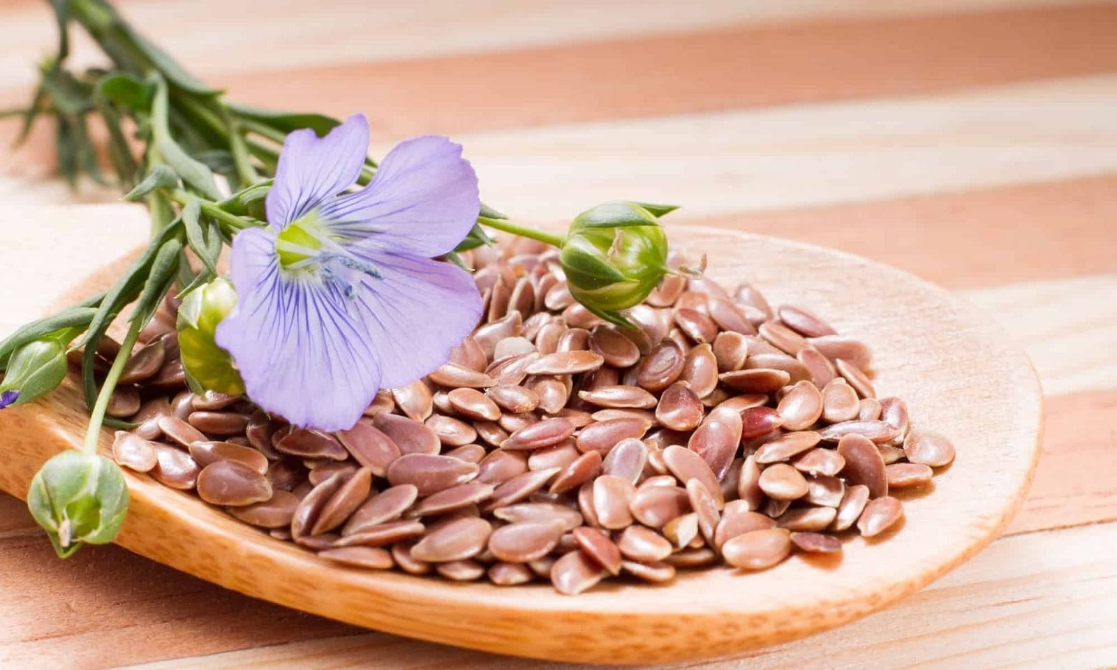 Flax seed (Image via Pexels)