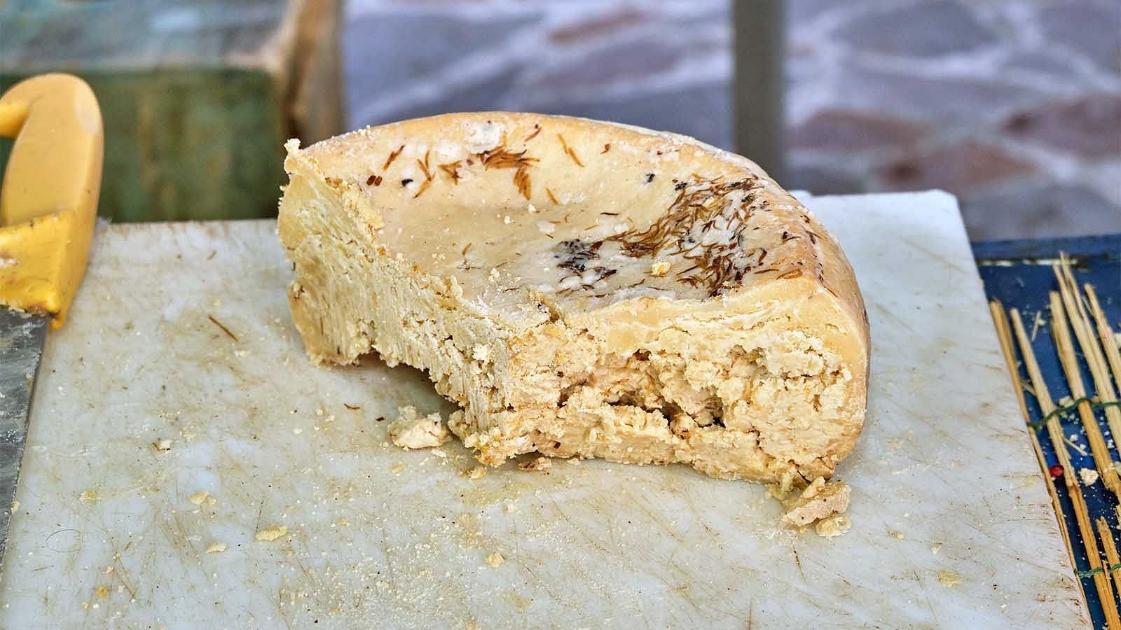 Casu Marzu as a disgusting food (Image via Getty Images)