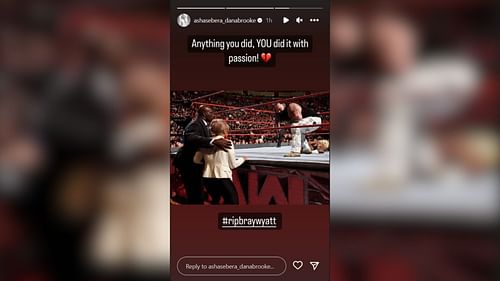 Screenshot of Dana Brooke's Instagram story.