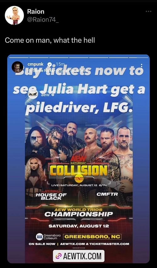 Screenshot of CM Punk's first Instagram story about Julia Hart