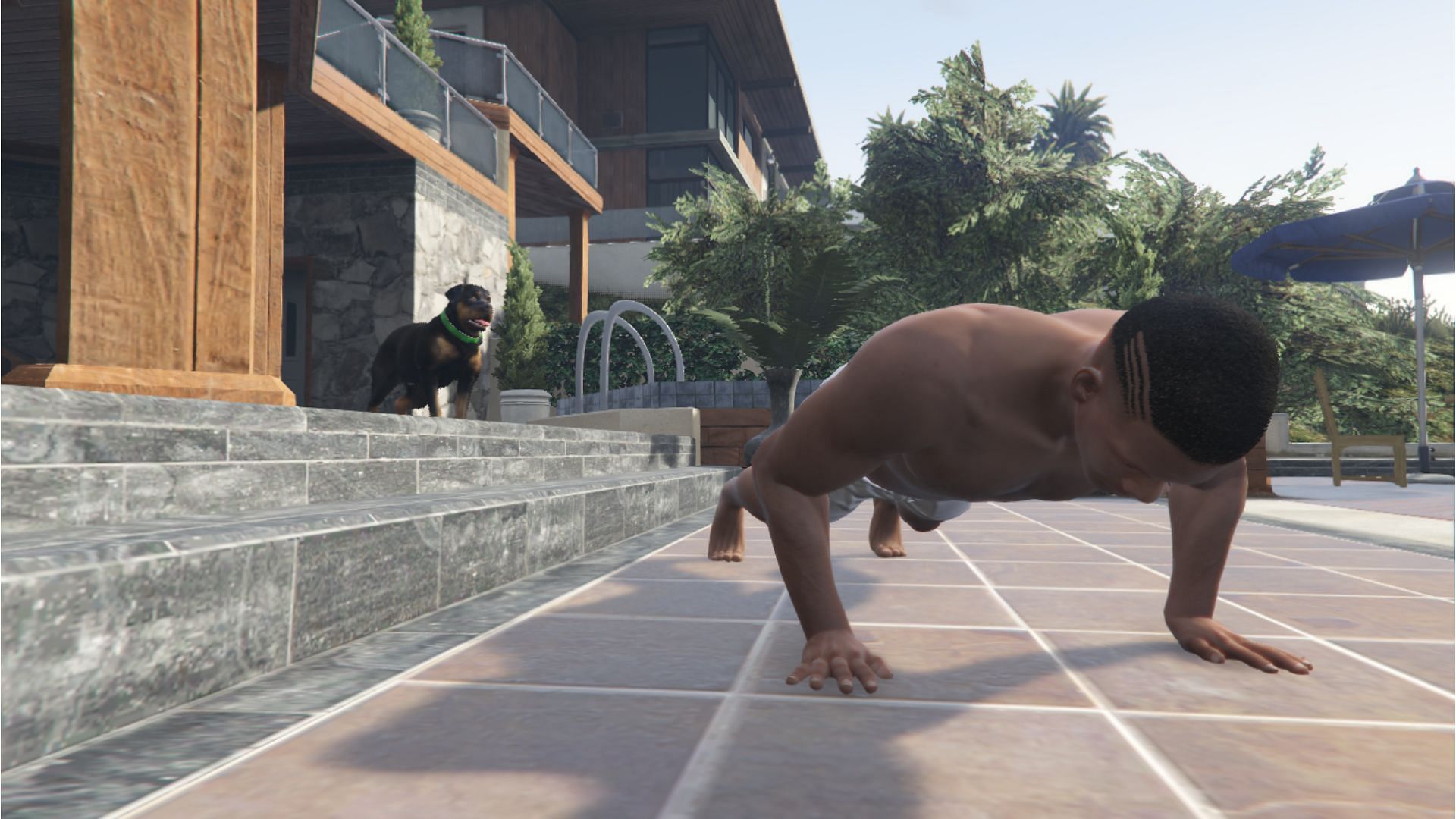 Franklin doing push-ups in his house (Image via andre500)