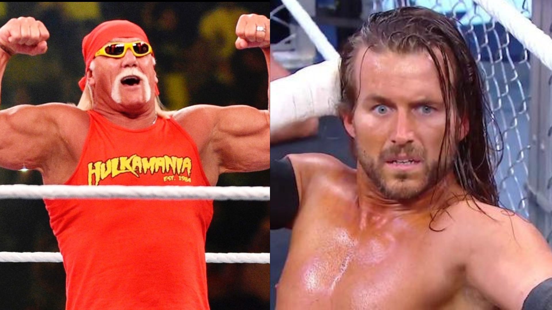 Hulk Hogan (left) Adam Cole (right)
