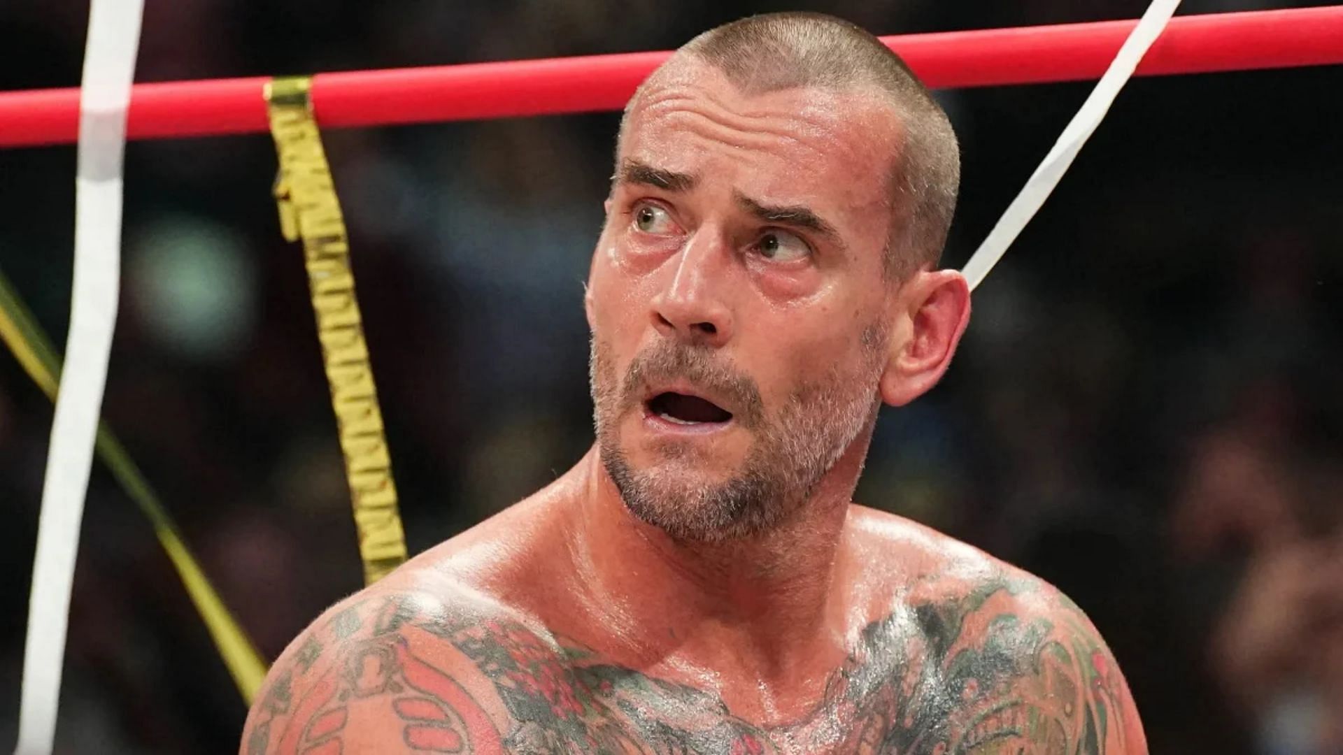 CM Punk is a former AEW and WWE World Champion