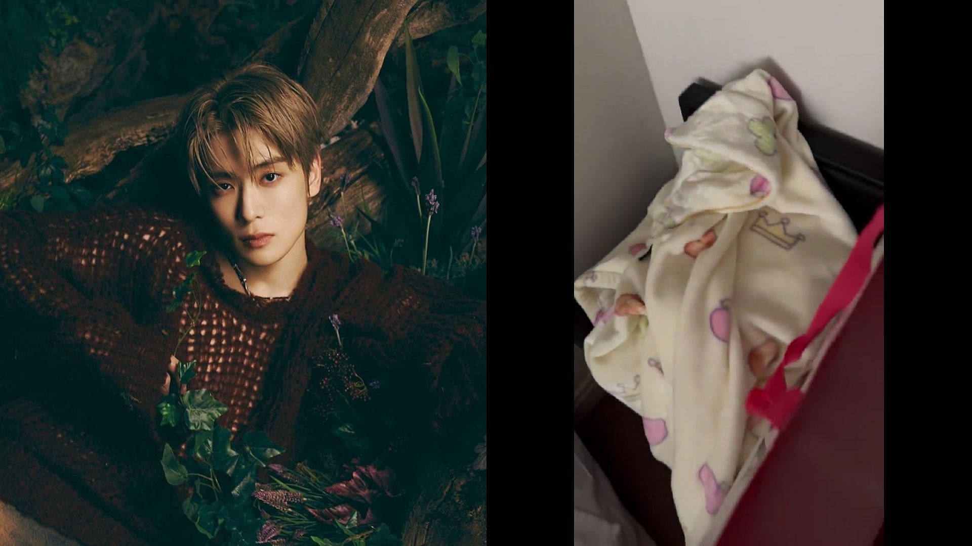 “You need to be IN JAIL”: Sasaeng allegedly breaks into NCT Jaehyun’s hotel room, fandom in an uproar
