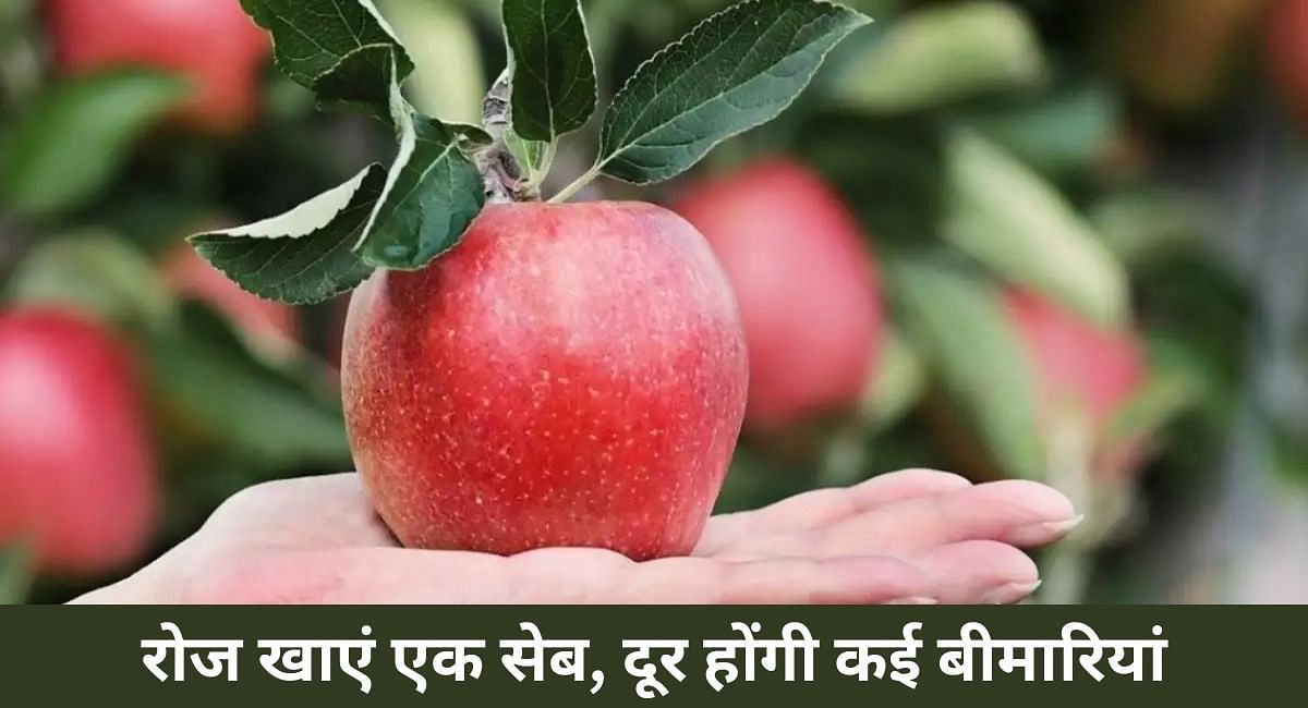 रोज खाएं एक सेब, दूर होंगी कई बीमारियां(फोटो-Sportskeeda hindi)