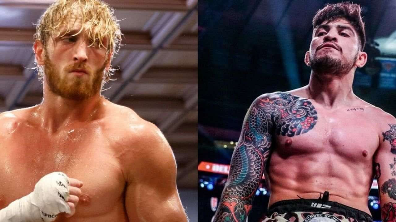 Dillon Danis vs Logan Paul: Logan Paul vs Dillon Danis in WWE ...