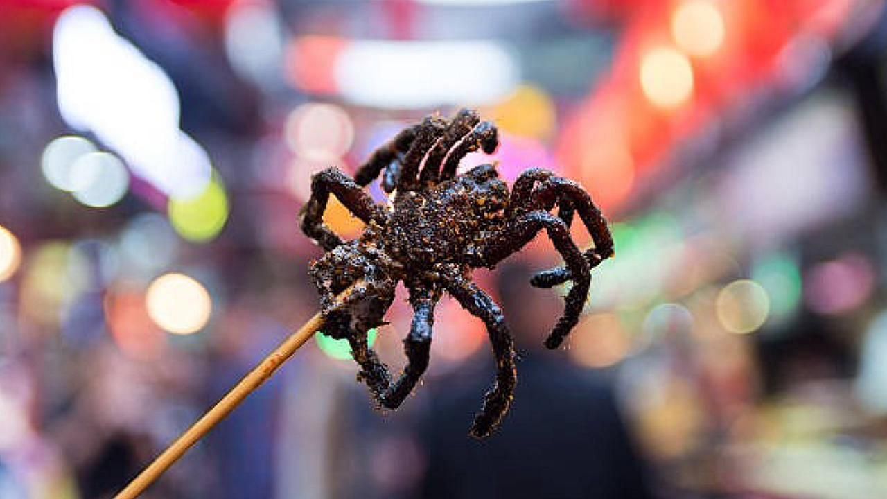 Fried tarantula as a disgusting food (Image via Getty Images)