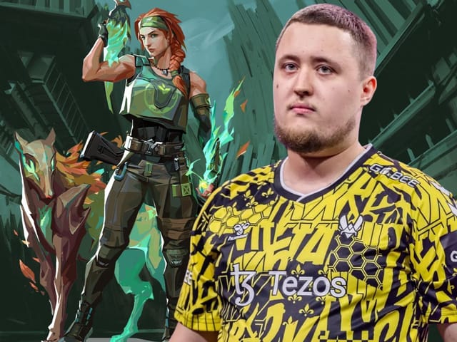 ZywOo and other CS:GO pros feel 