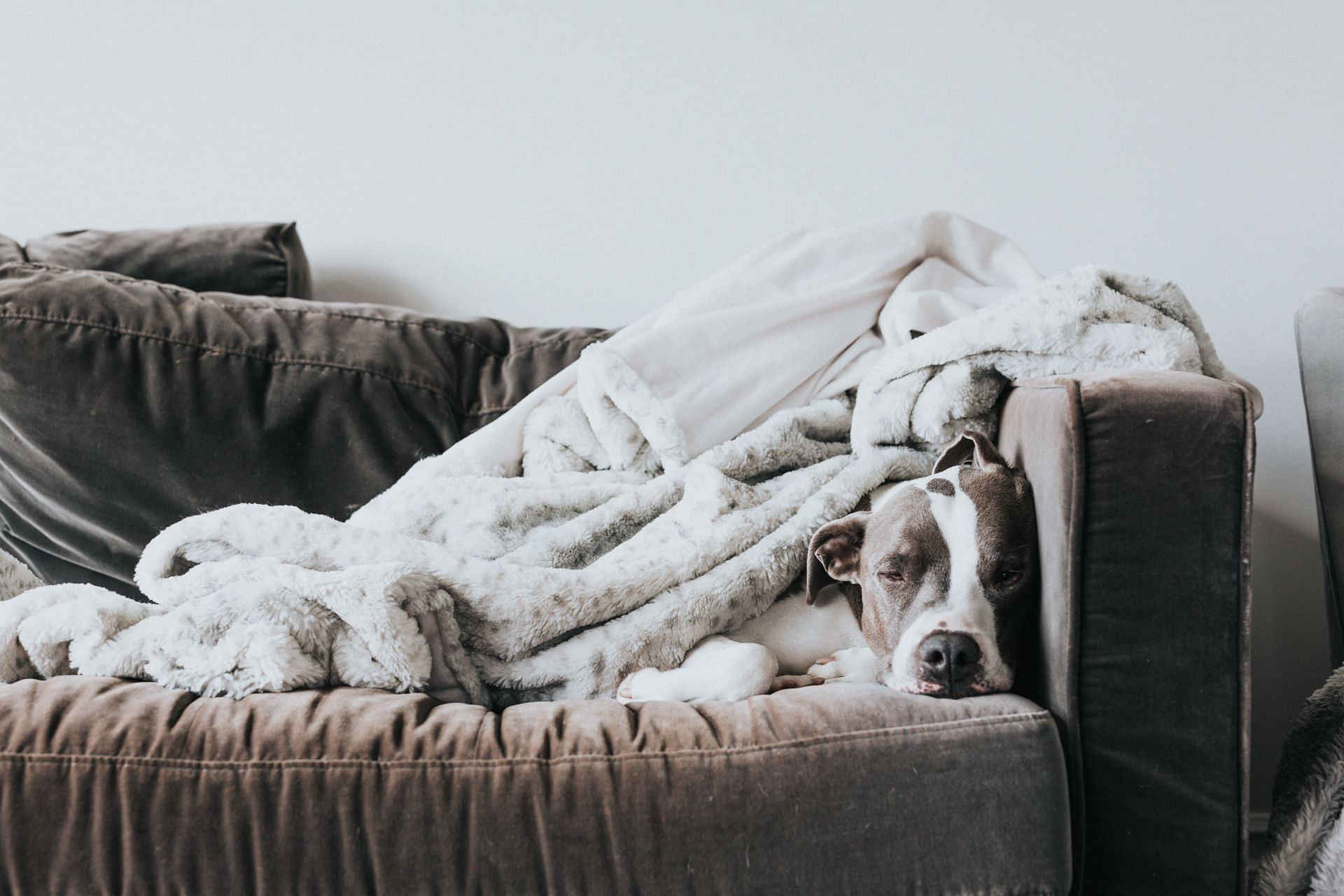 Break free from couch potato lifestyle (Image via Unsplash / Nathan dumalo)