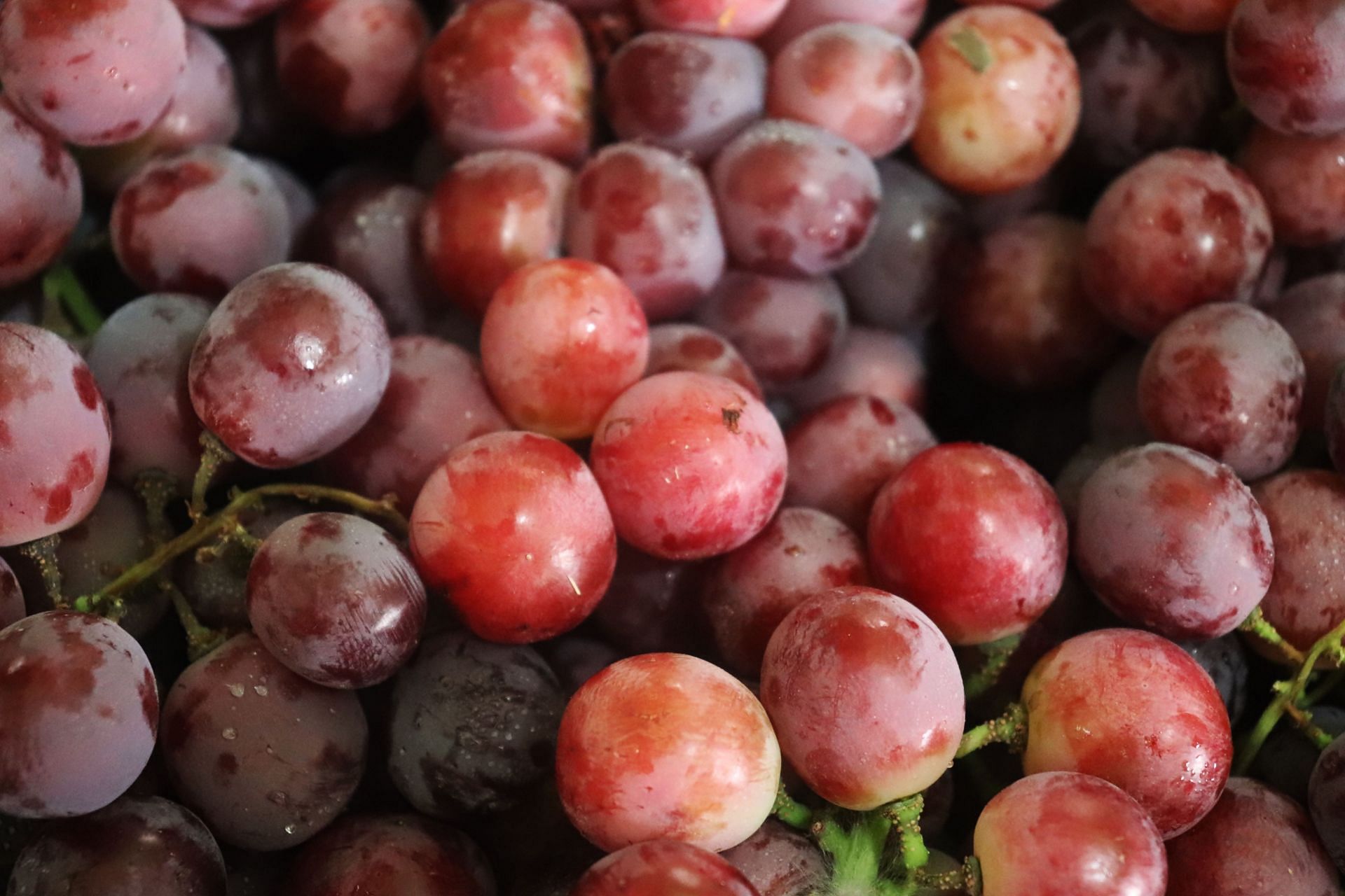 Red grapes can protect the body from free radicals. (Image via Unsplash/Mufid Majnun)