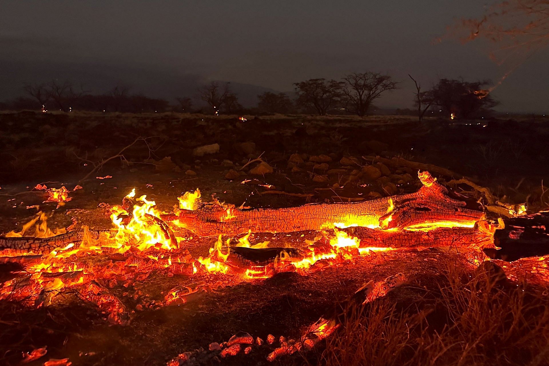 What caused the Maui fires? Viral news debunked as many social media users alleged that the wildfire was caused due to 