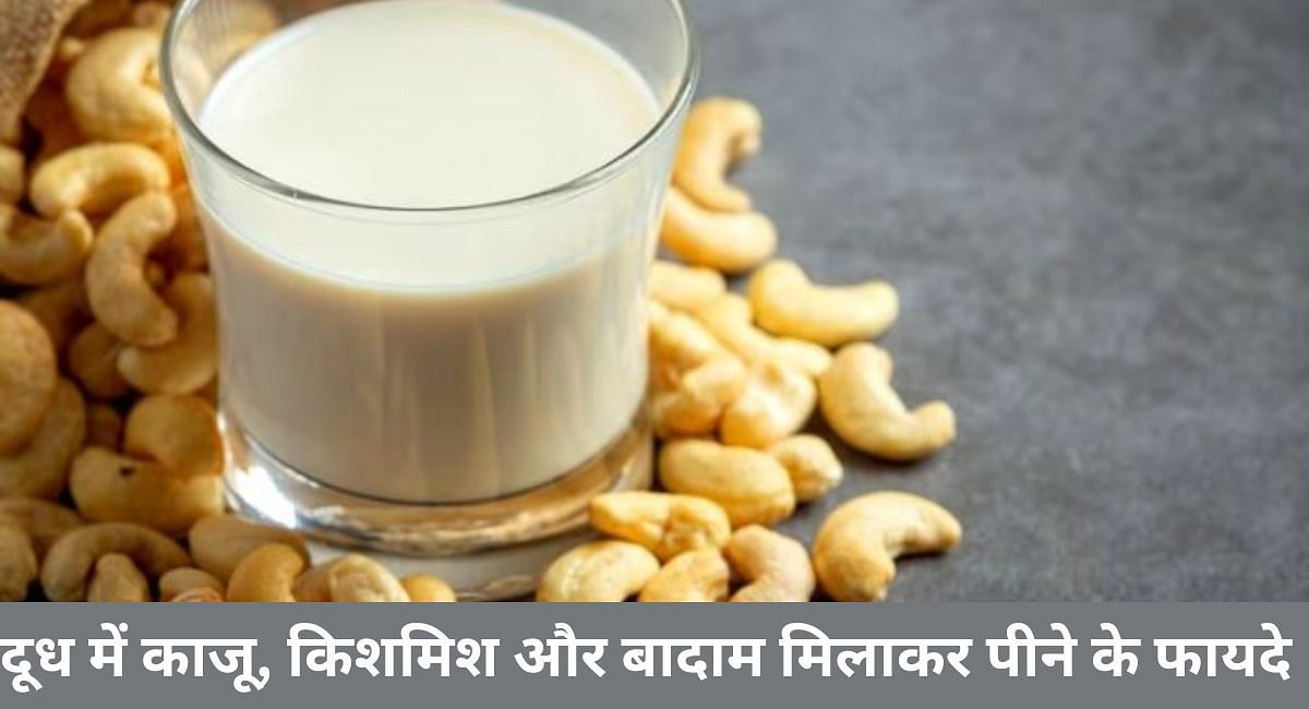 दूध में काजू, किशमिश और बादाम मिलाकर पीने के फायदे(फोटो-Sportskeeda hindi)