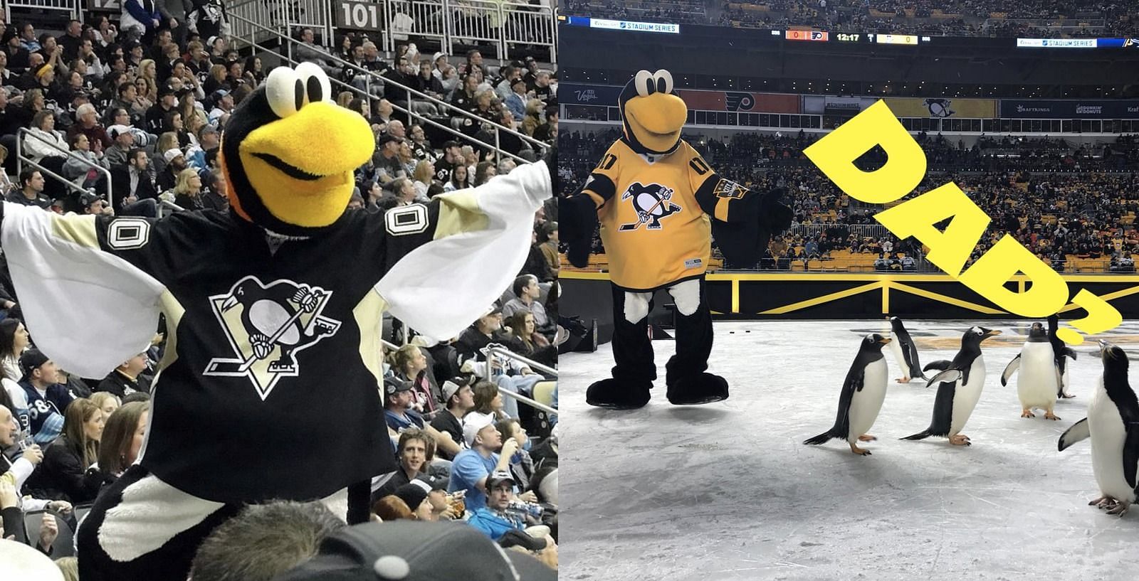 Who is the Pittsburgh Penguins mascot? Entire history behind franchise