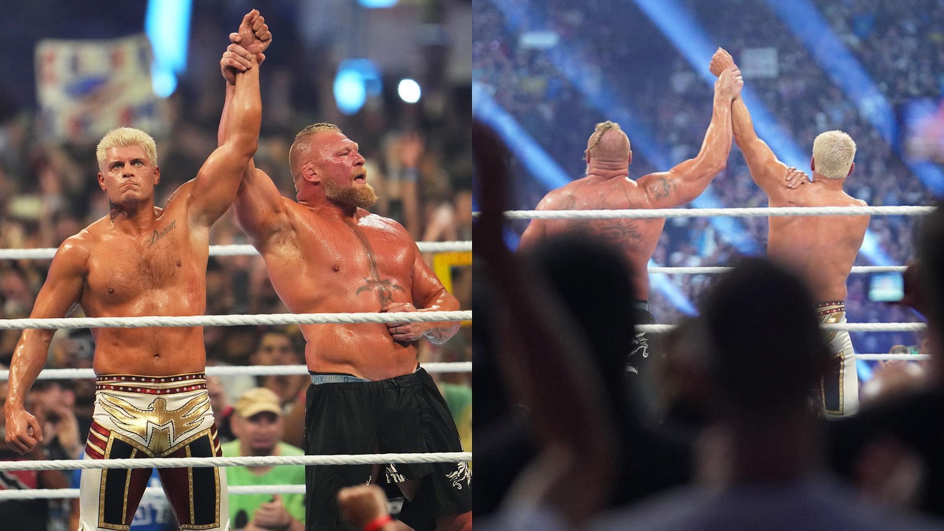 Cody Rhodes and Brock Lesnar battled last night at SummerSlam.