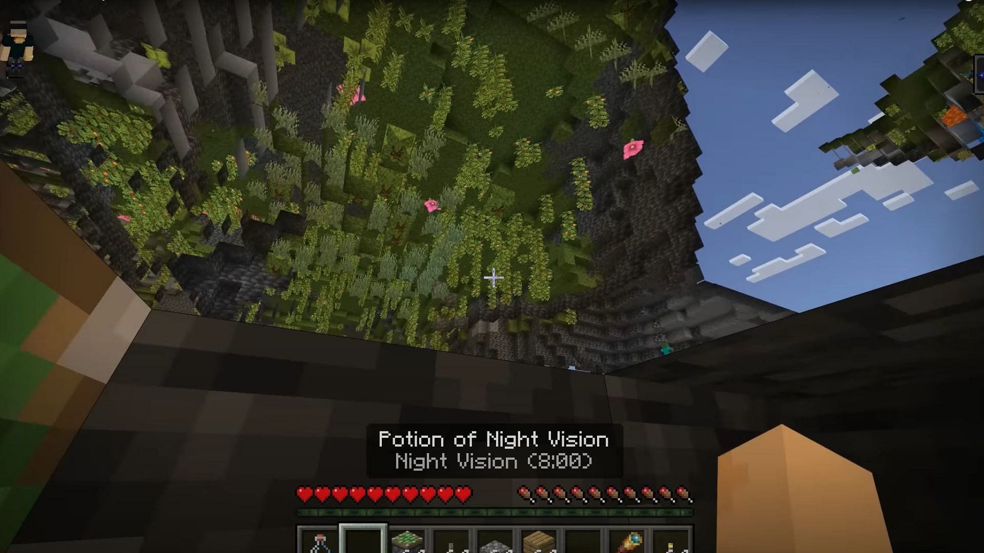 5 most fun Minecraft glitches to have ever appeared