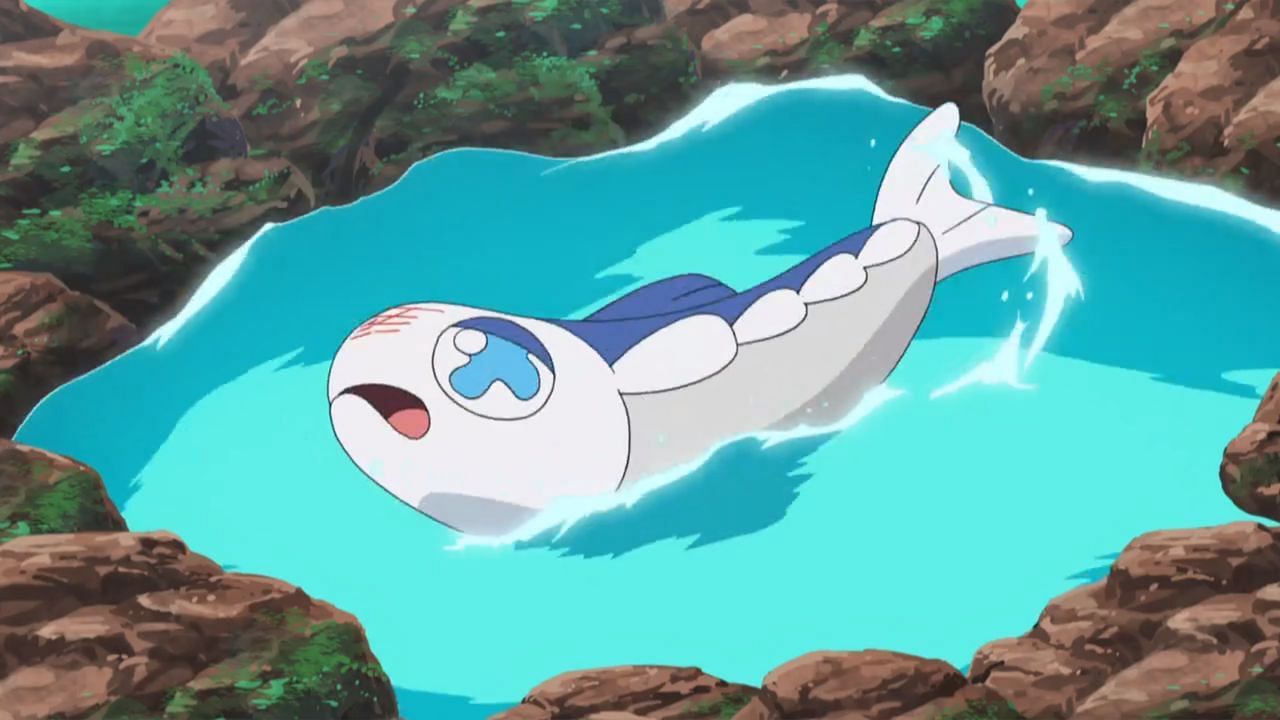 Wishiwashi as seen in the anime (Image via The Pokemon Company)