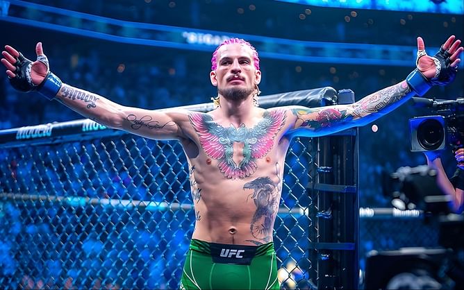 Sean O'Malley and 4 of the most successful UFC fighters from Dana White’s Contender Series