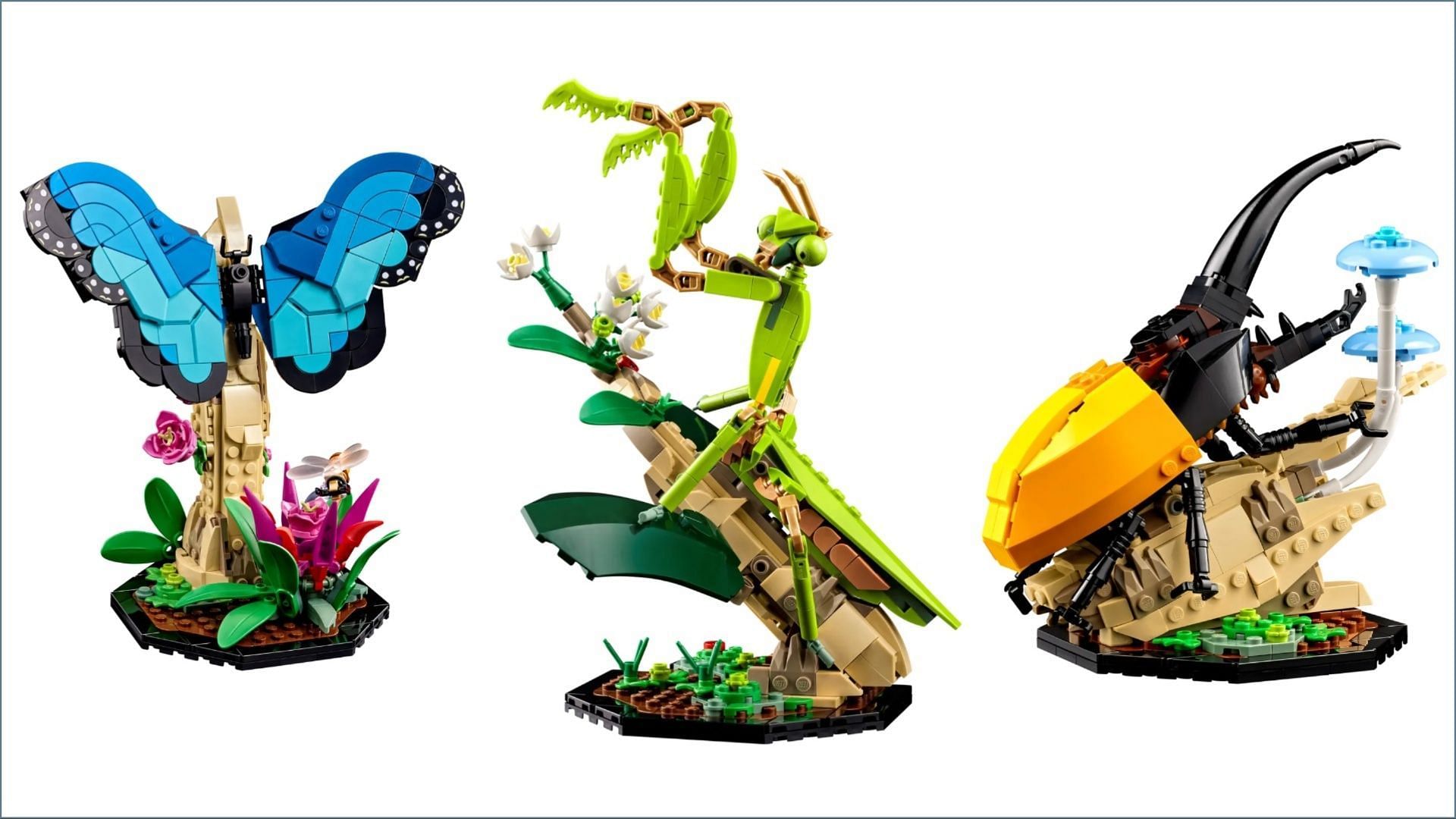 Available as set number 21342, the new Insect Collection comes with five unique insect models (Image via LEGO)