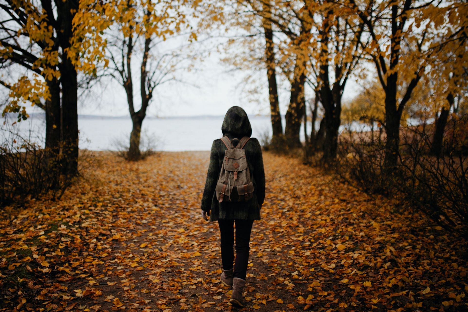 Puts your mind into the &#039;flow state&#039; (Image via Unsplash/Dmitry Schemelev)