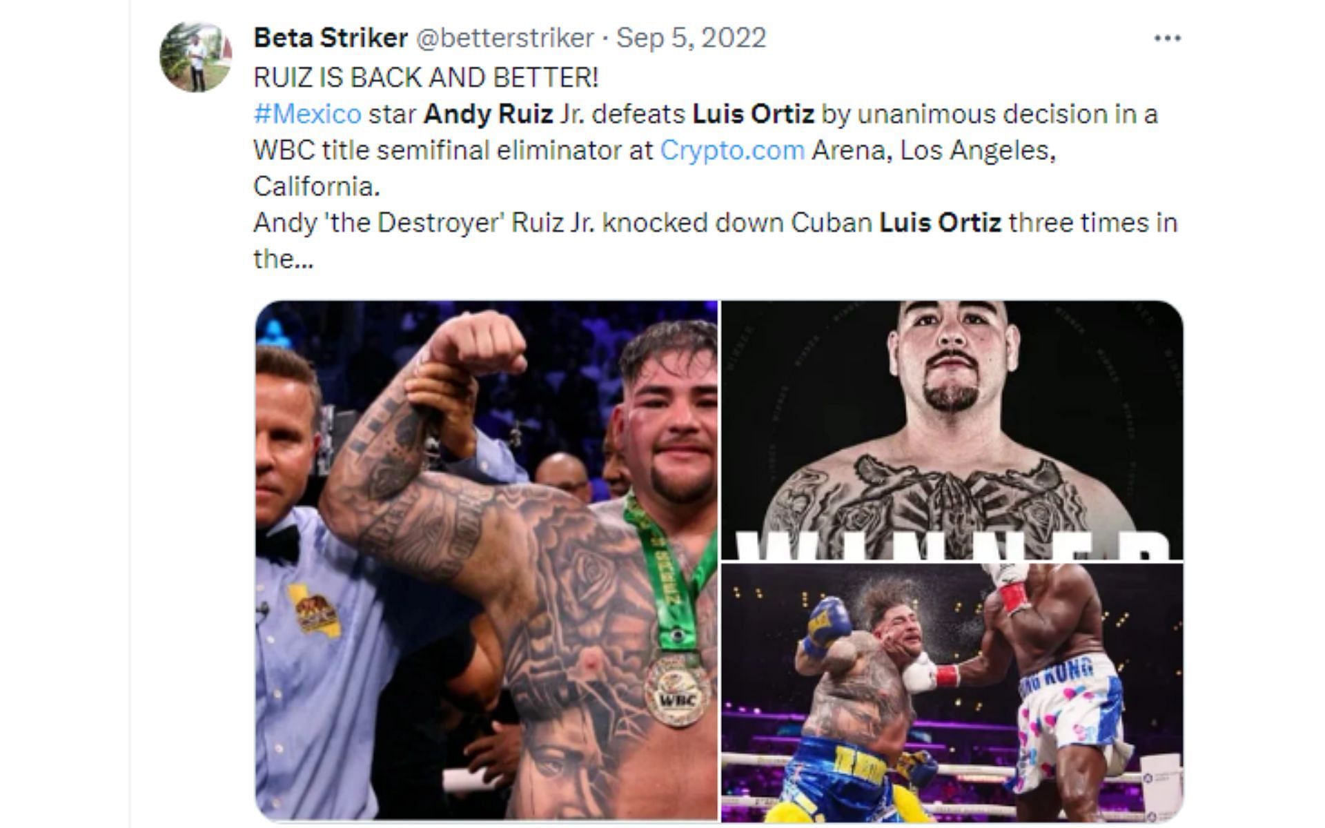 Tweet regarding win over Luis Ortiz