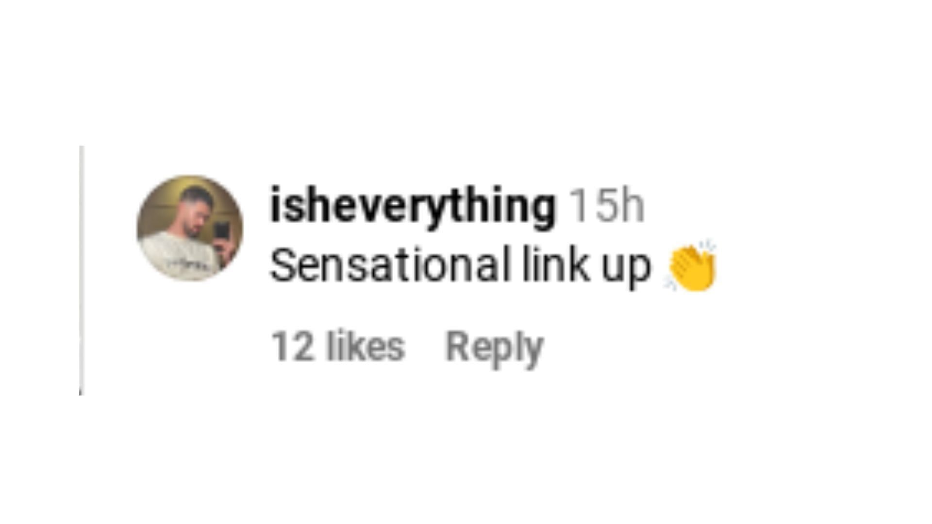 One fan&#039;s comment on Instagram