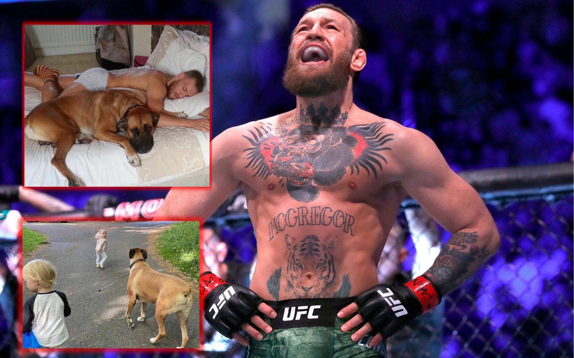 Conor McGregor with his pet [Images via: @thenotoriousmma on Twitter]