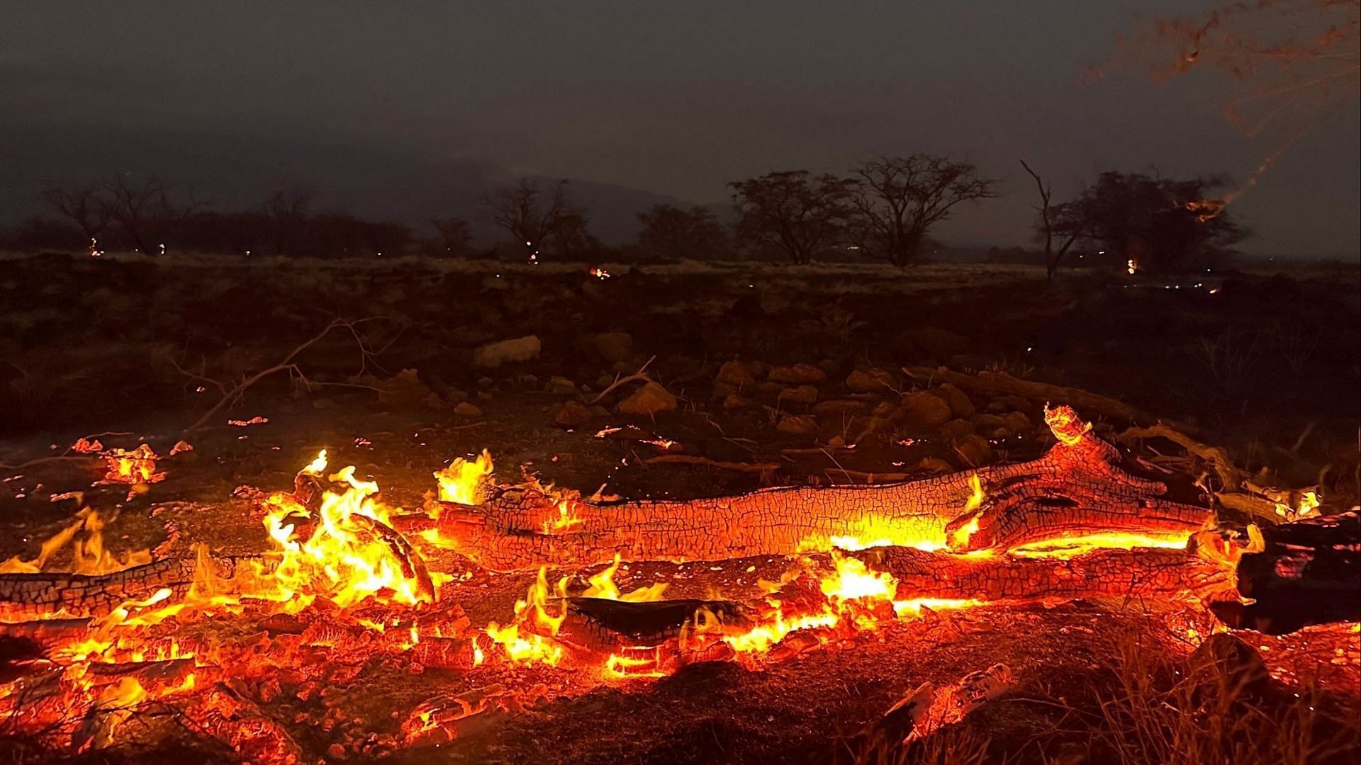 The Maui fires prompted questions on the safety of the Kaanapali Hyatt Regency (Image via Facebook/PIX11)