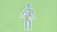 Identifying it can be particularly difficult due to its numerous symptoms, which coincide with those of other ailments such as the flu or chest infections. (Monstera/Pexels)