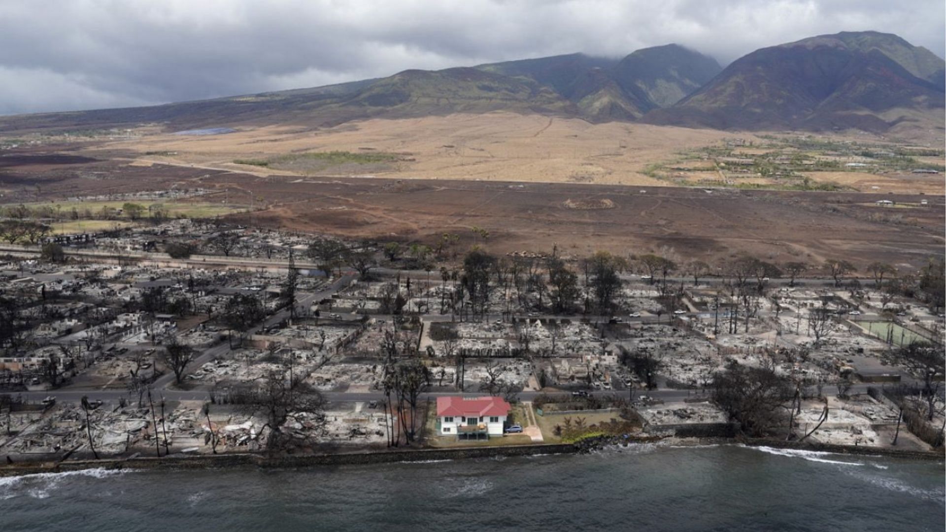 What saved the miracle house in Lahaina? Owner reveals vital factor