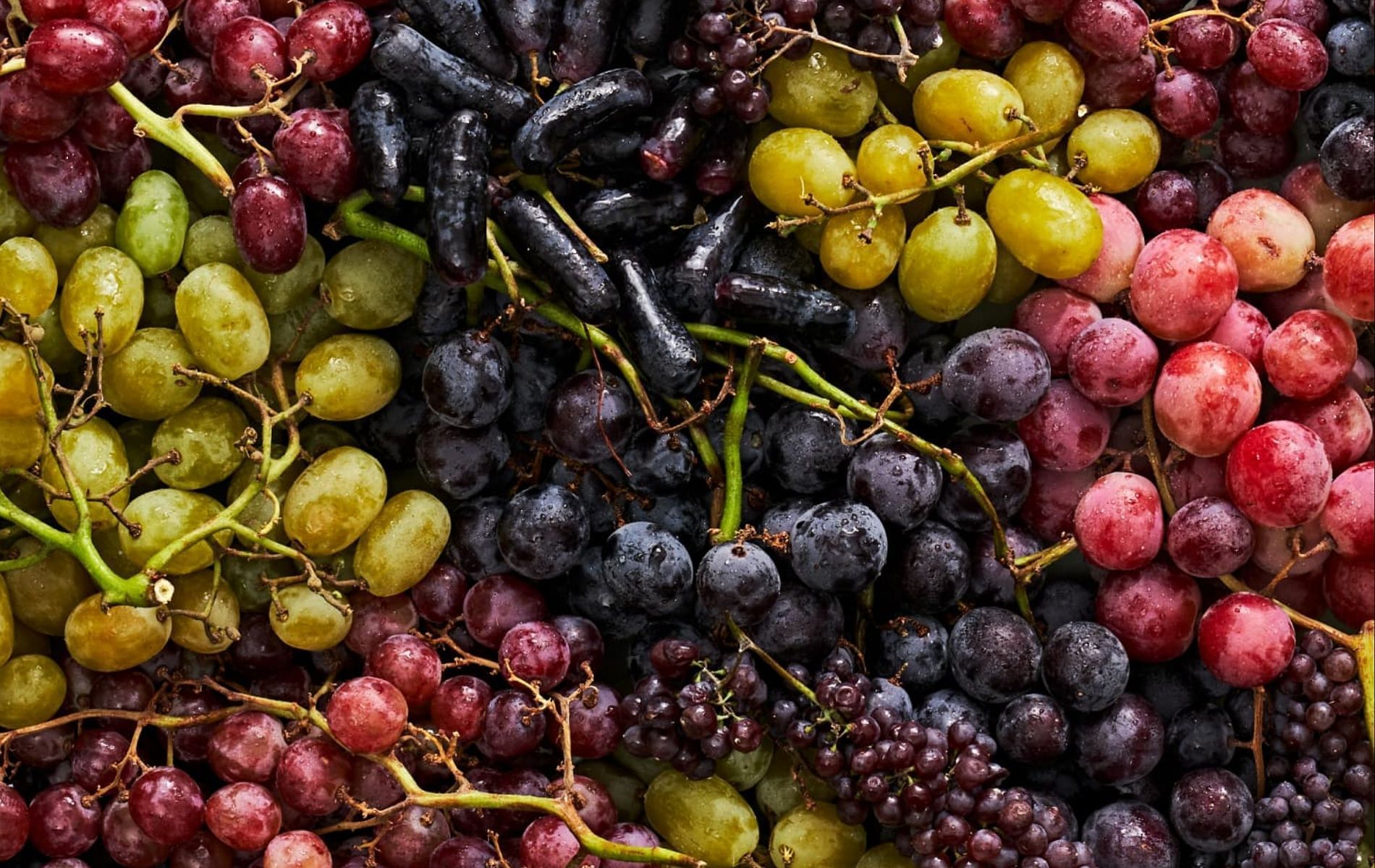 5 Fruits To Avoid For Weight Loss 5 Fruits To Avoid For Weight Loss 5-fruits-to-avoid-for-weight-loss-5-fruits-to-avoid-for-weight-loss