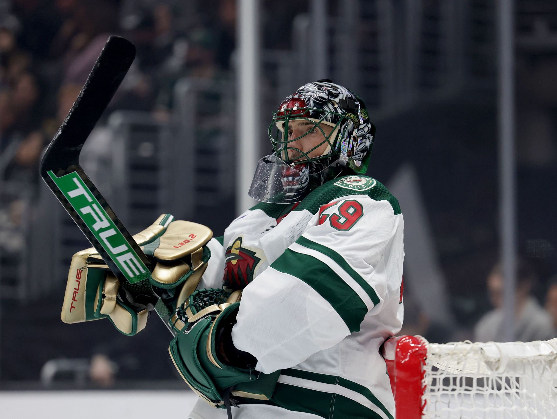 Minnesota Wild Goalies How is the team's depth chart after sealing