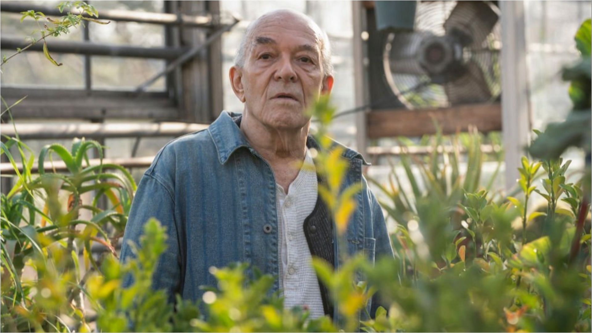 Mark Margolis recently passed away at the age of 83 (Image via Virginia Sherwood/Getty Images)