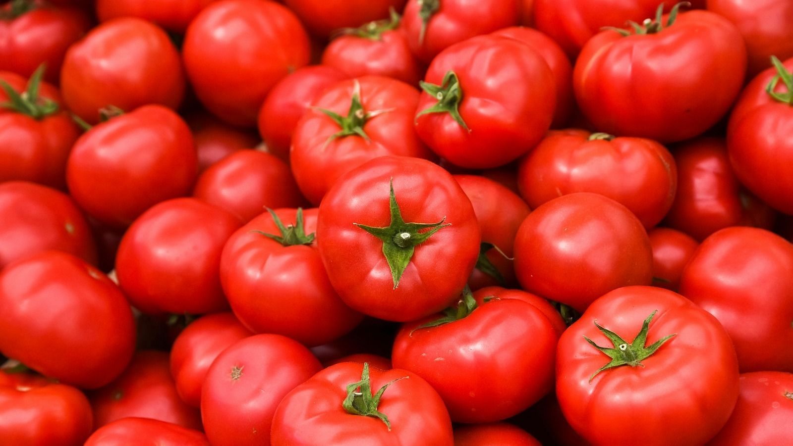 Tomatoes in best foods for skin repair (Image via Getty Images)