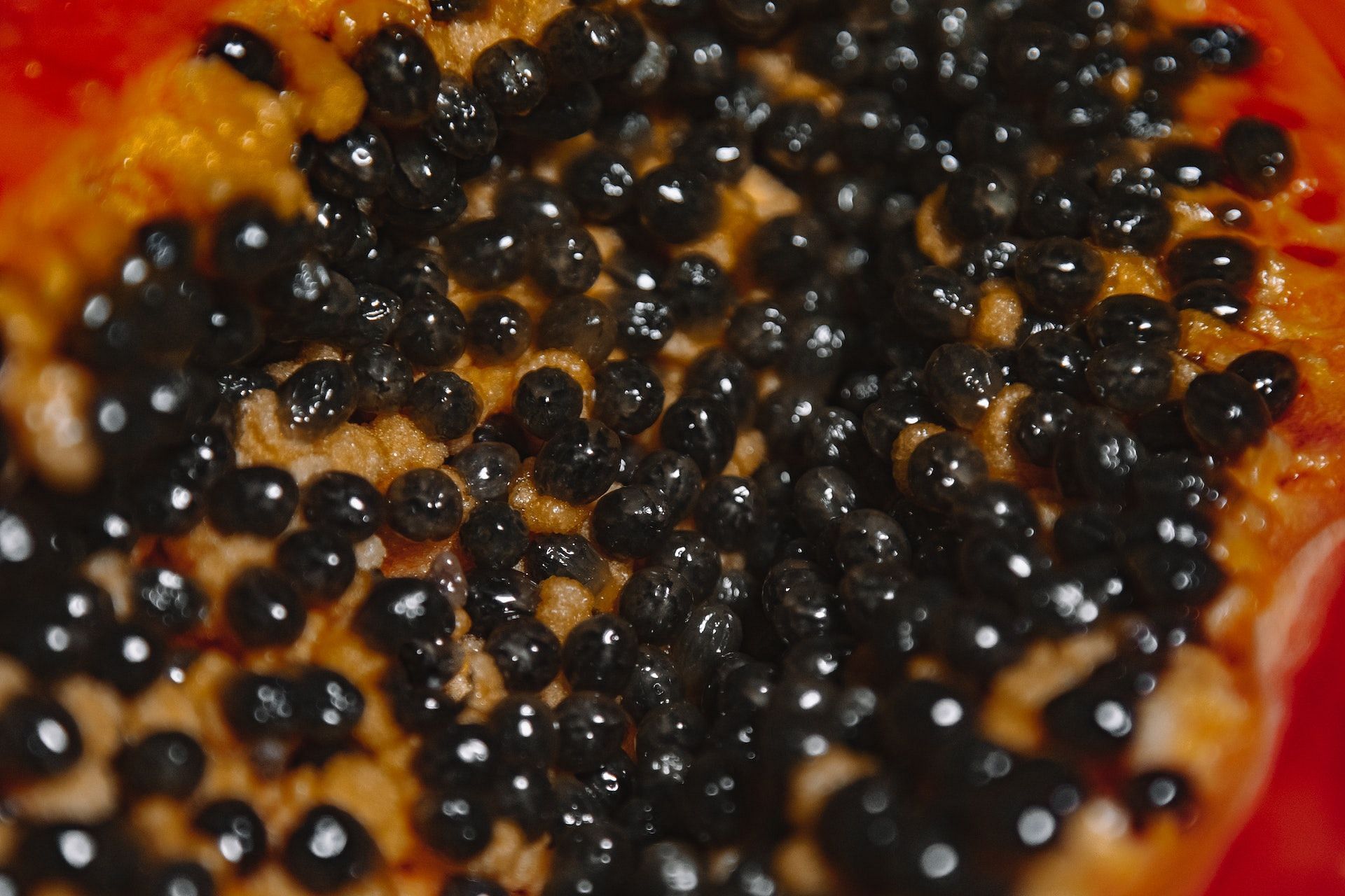 Papaya seeds can also be used as black pepper in food items (Photo by ROMAN ODINTSV/pexels)