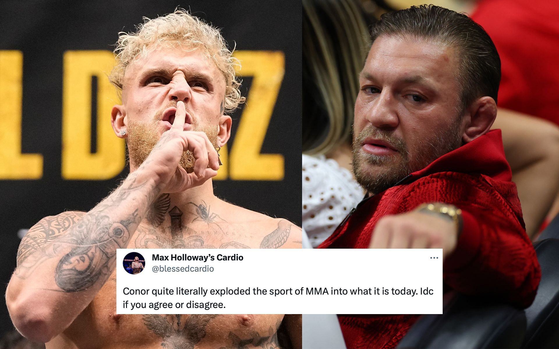 Jake Paul Conor McGregor: "Literally Exploded The Sport Of MMA" - Jake ...