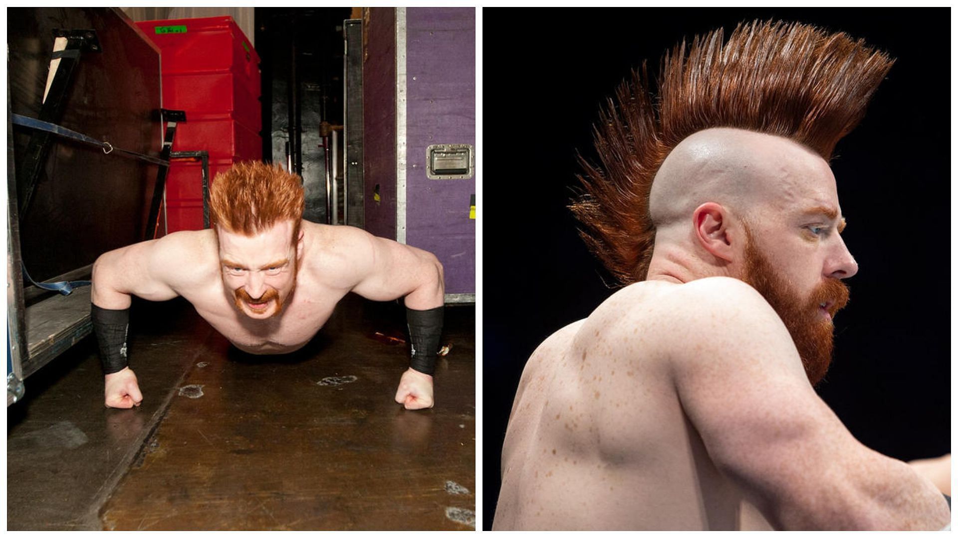 Sheamus is a former WWE Champion.