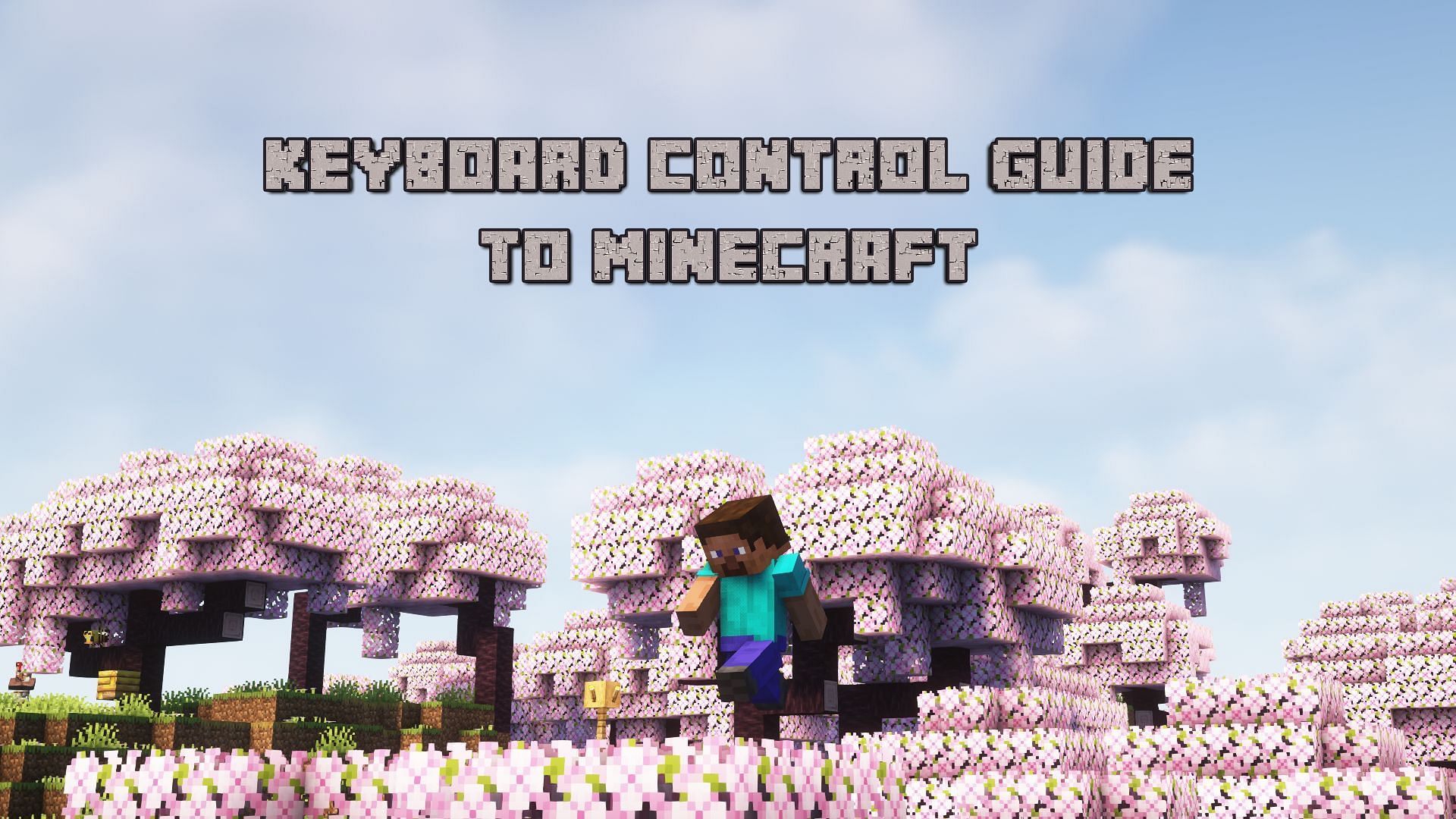 Minecraft keyboard guide (Image via Mojang)