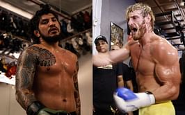 "This guy isn't built for the fight game" - Dillon Danis blasts Logan Paul for childish insult despite brash trash-talk