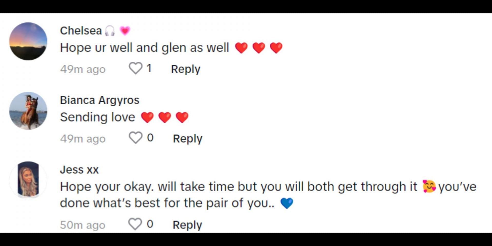 Fans left kind messages for both Anna and Glen and wished them both happiness in life. (Image via TikTok/@anna..paull)