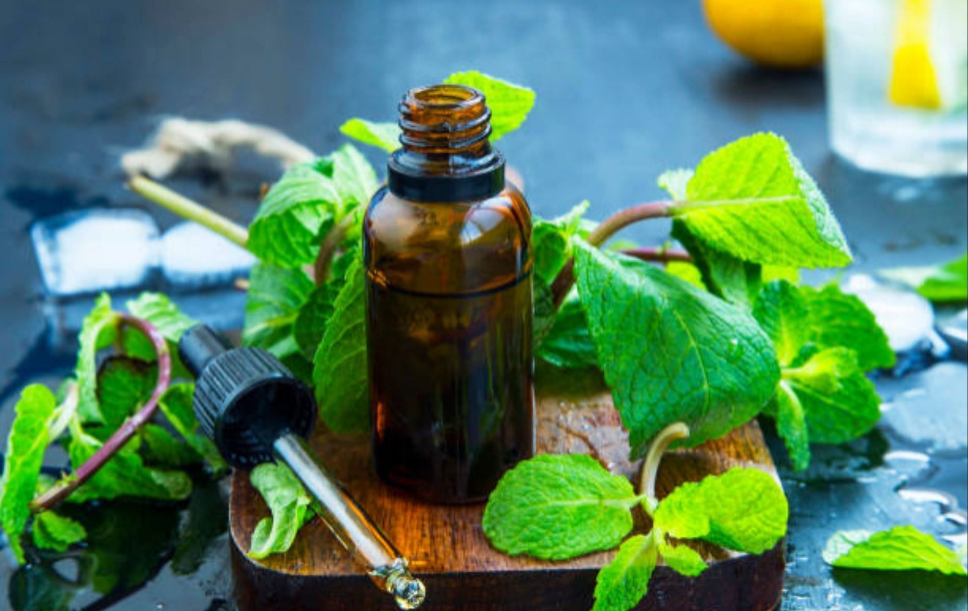 Peppermint effectively helps to relax throat muscles thus being one of the best essential oils for congestion (Image via iStock)