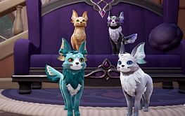 Palia: All Palcats and how to get them