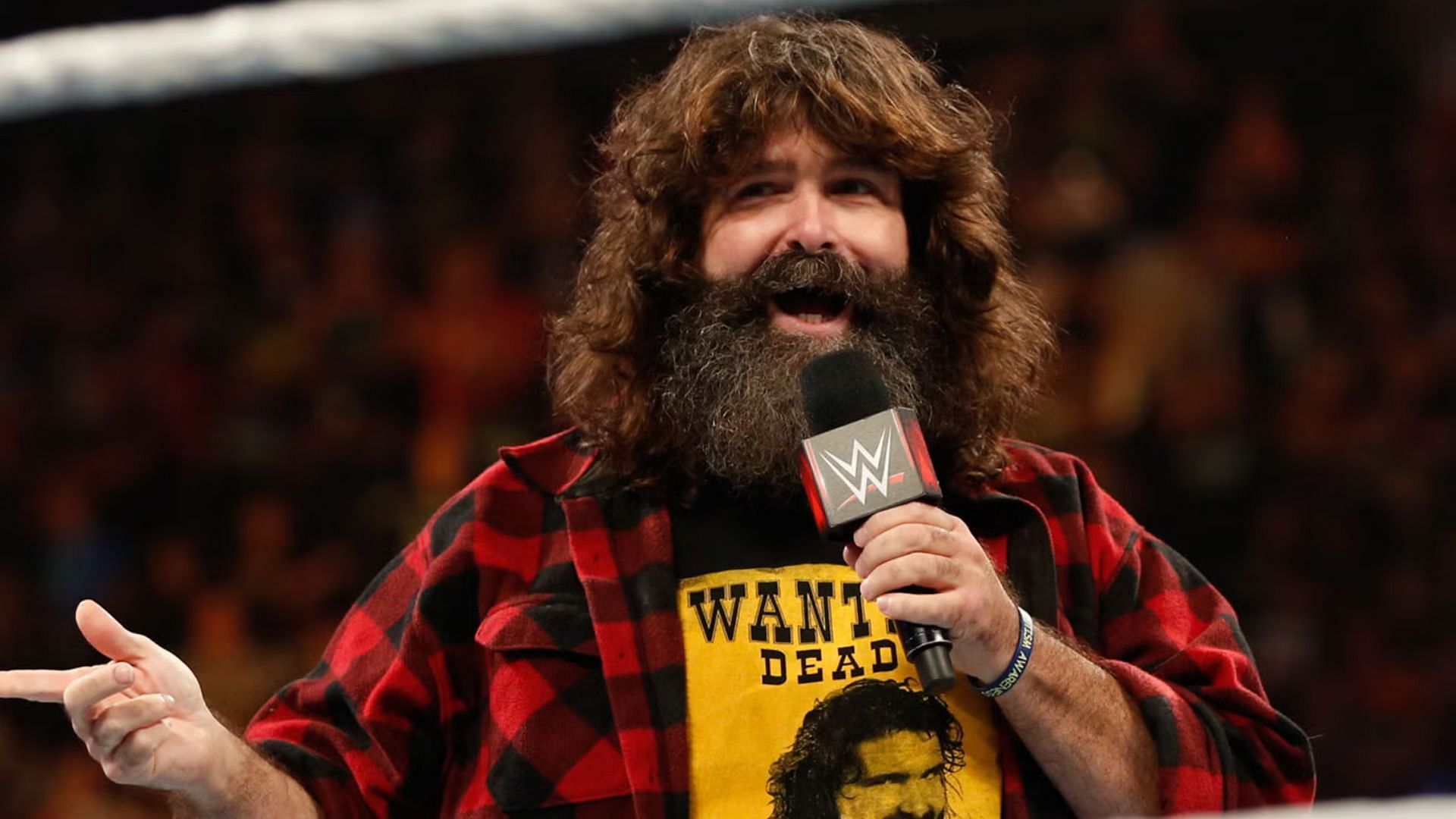 Did Mick Foley push his body too far?