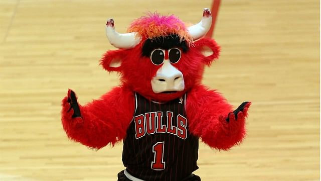 Top 5 NBA mascots ranked by salaries, featuring the Denver Nuggets' and ...