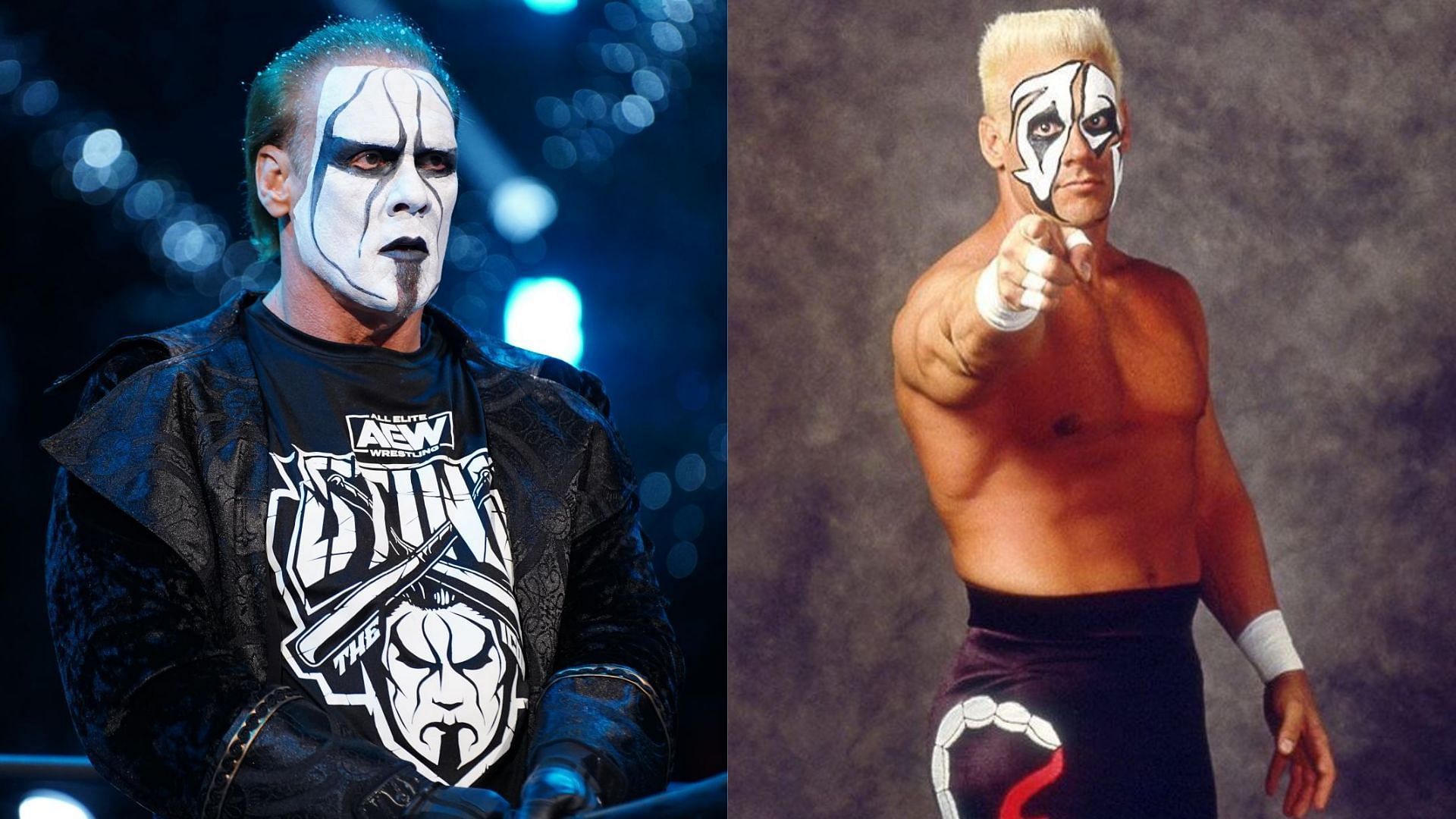 Sting has spent nearly 40 years in the pro wrestling industry.