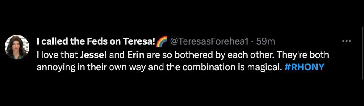 Fans react to RHONY Jessel and Erin&#039;s argument (Image via Twitter/@TeresasForehea1)