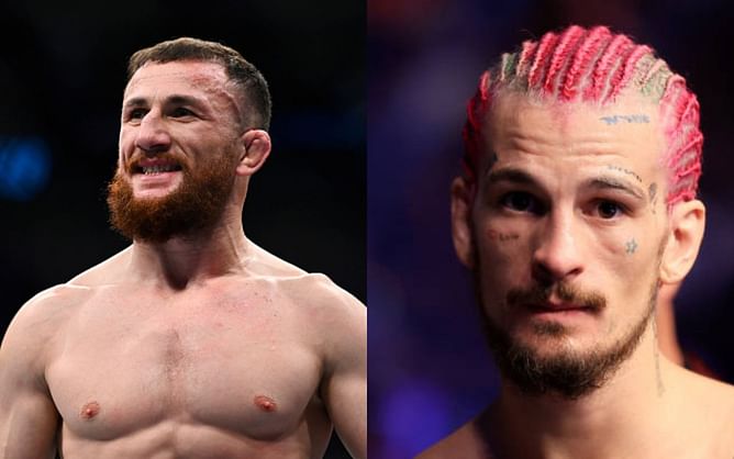 Injured Merab Dvalishvili challenges Sean O'Malley for UFC title showdown in December: "I'm gonna push through the pain"