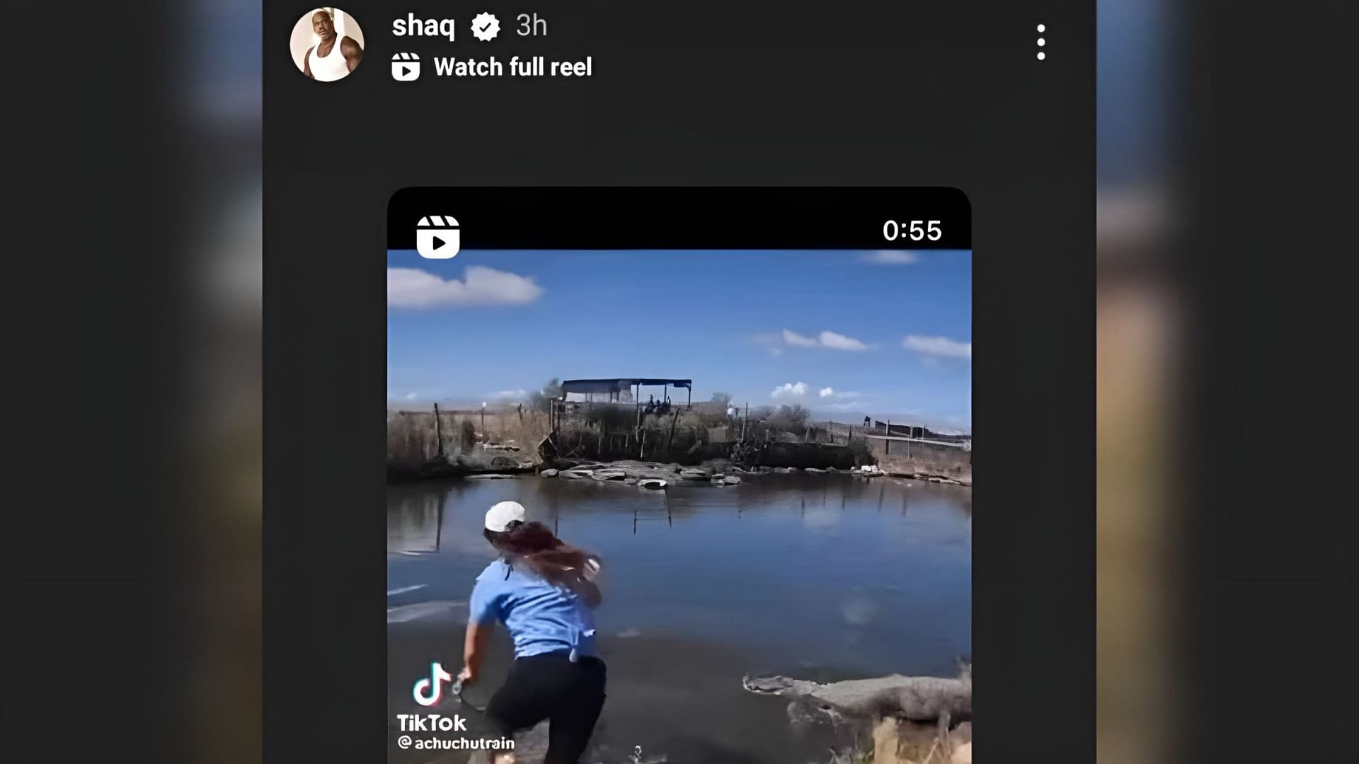 Shaquille O&rsquo;Neal shares a viral video of a fearless woman jumping into an alligator enclosure