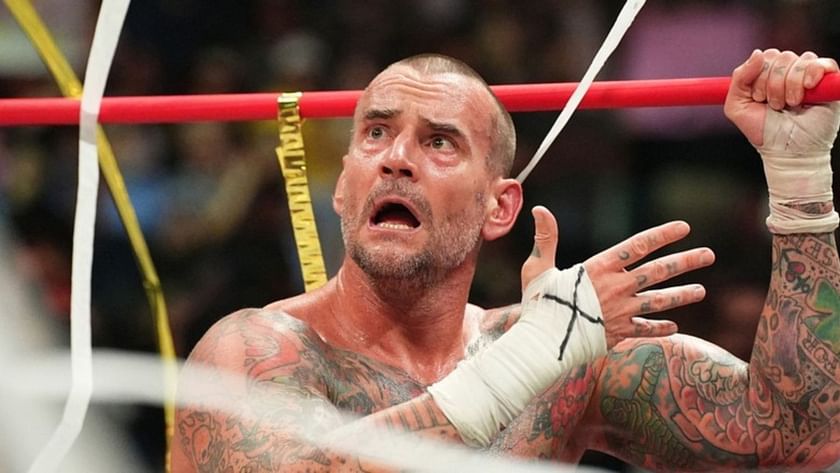 CM Punk retired from UFC competition as he returns to professional  wrestling - MMA Fighting