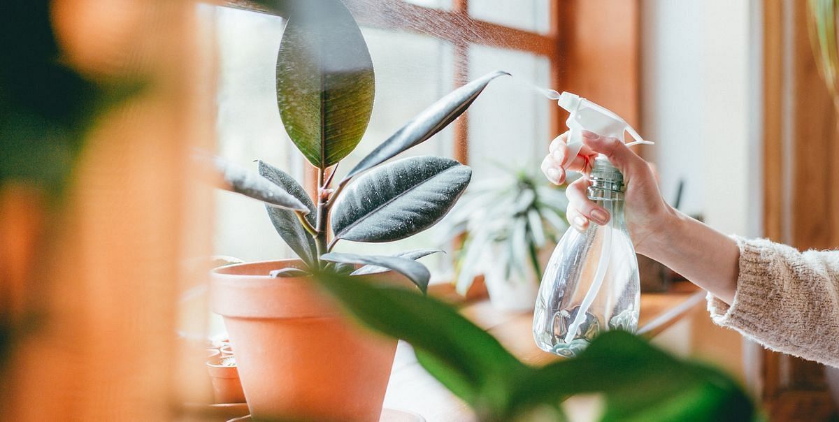 Indoor natural spaces (Image via Getty Images)