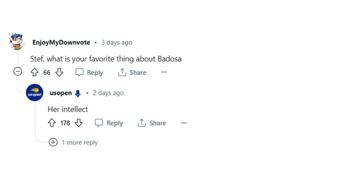 Stefanos Tsitsipas replies to a fan on Reddit
